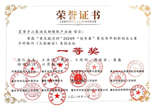 创青春一等奖.jpg
